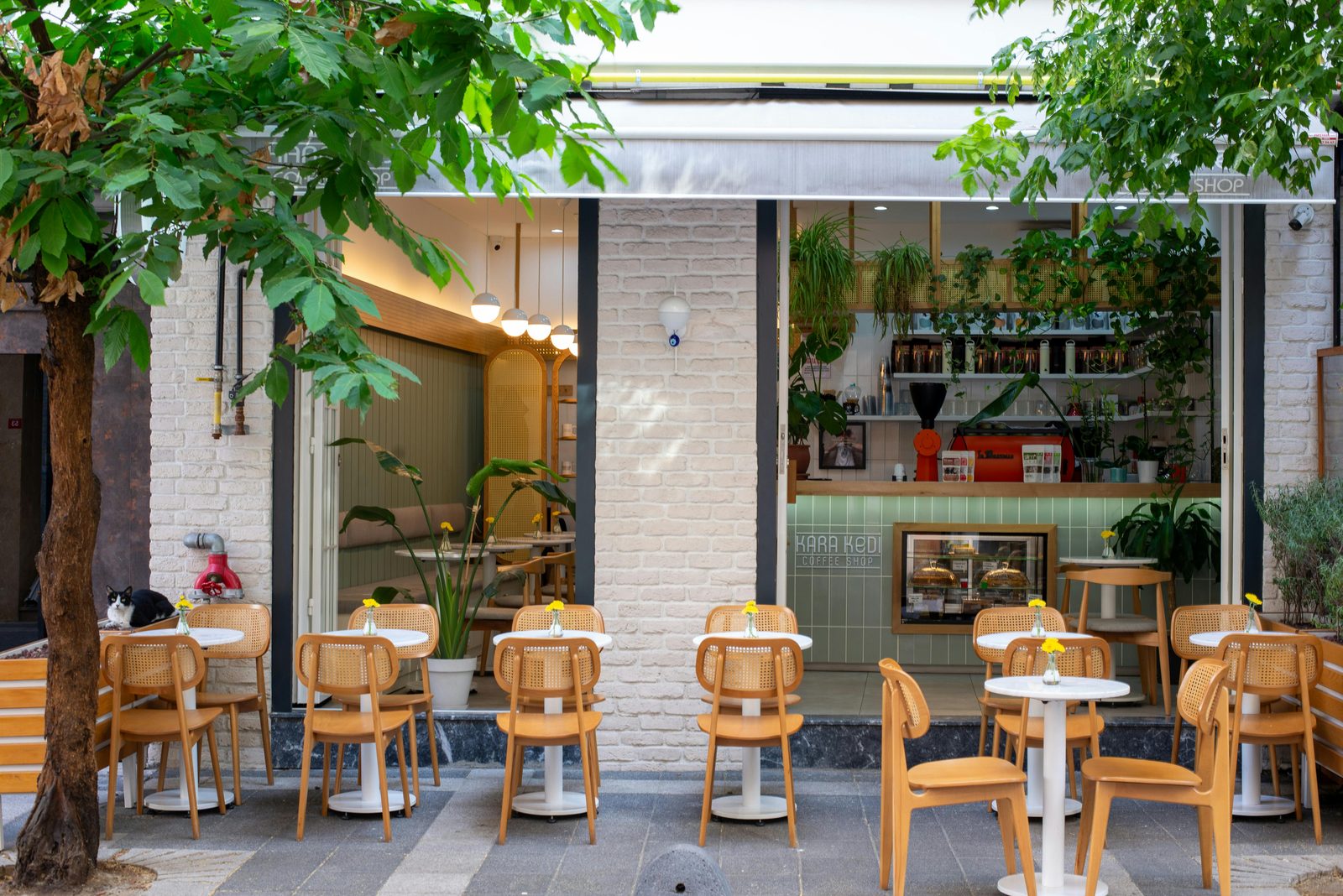 Trendy modern European cafe — Nørrebro is the second-time-visitor choice but works for first-timers wanting authentic Copenhagen